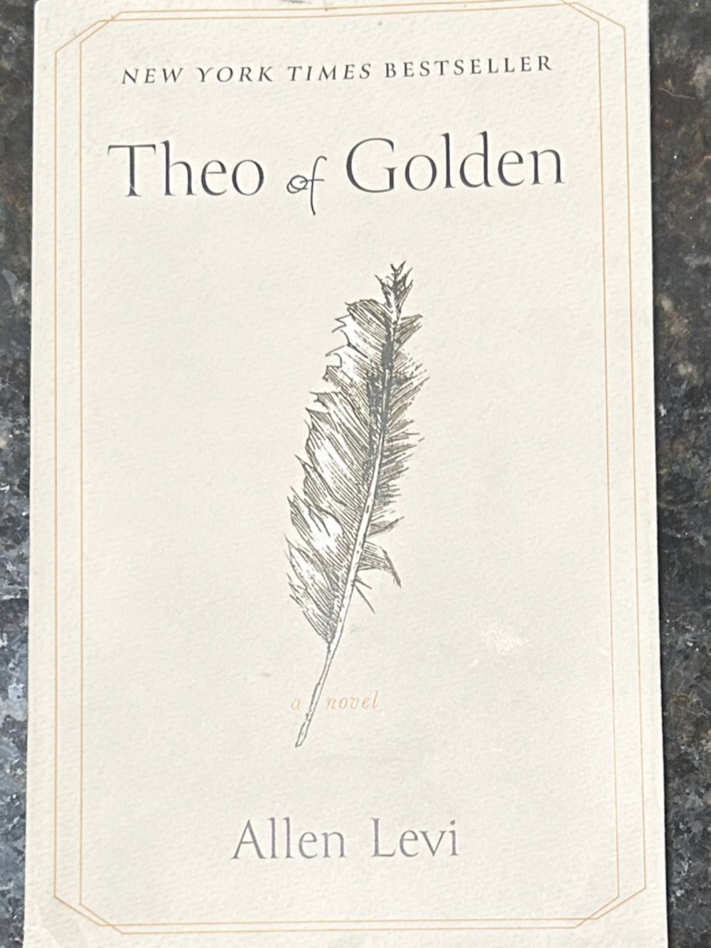 Theo of Golden - Paperback Novel - New York Times Bestseller - Literary Fiction